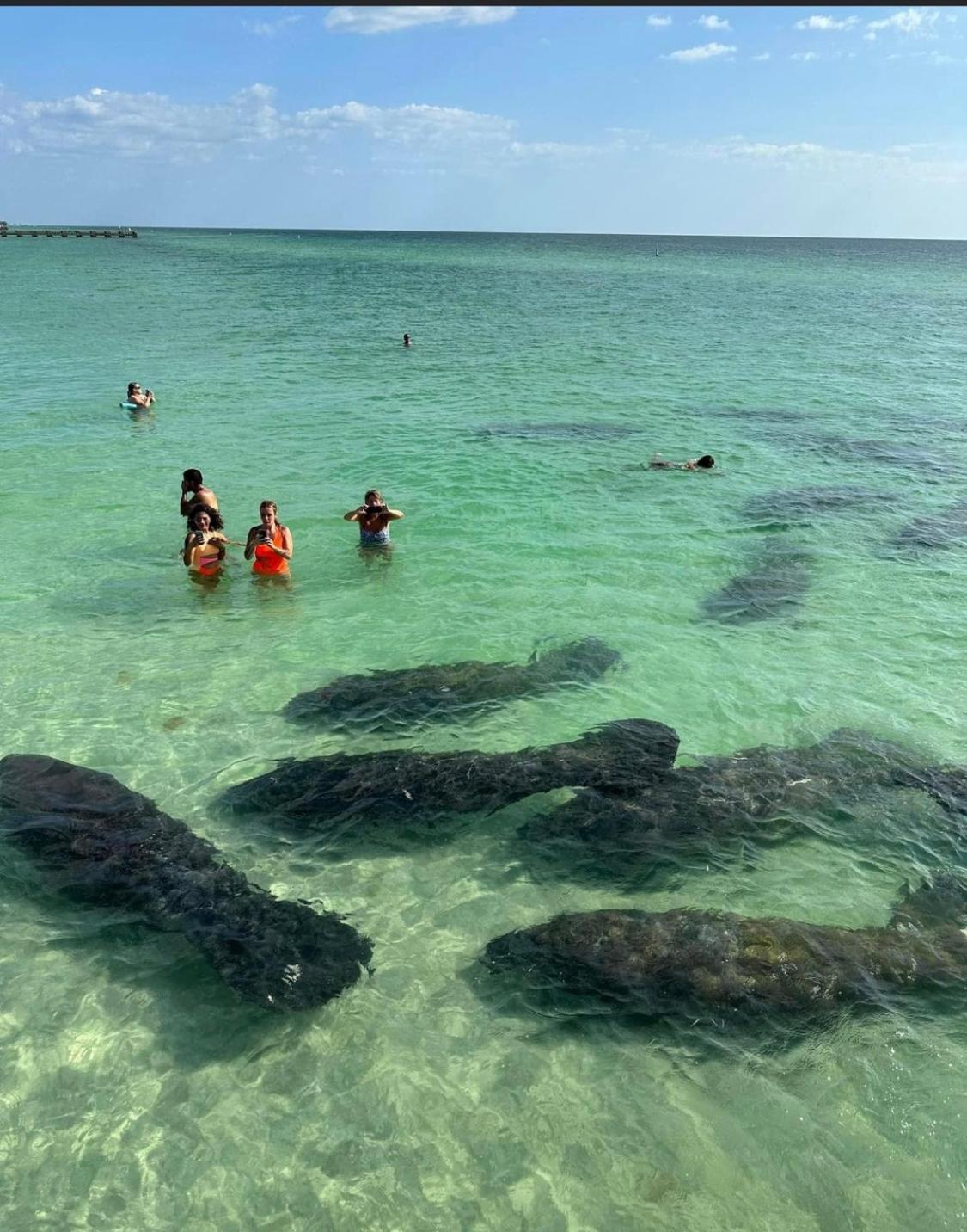 Vera'S Vacation Bradenton Kültér fotó